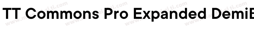 TT Commons Pro Expanded DemiBold字体转换